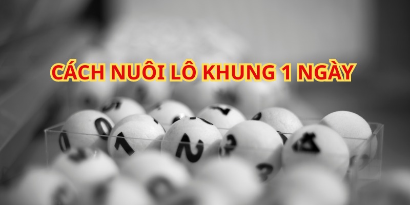 cách nuôi lô khung 1 ngày