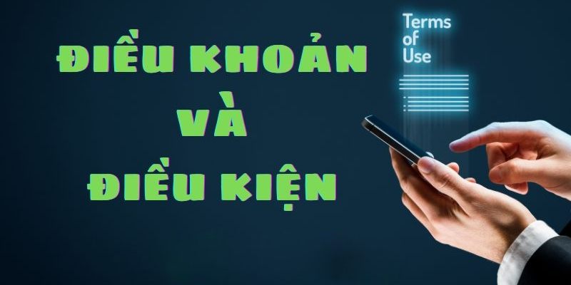 Điều khoản và điều kiện người chơi tại Oxbet