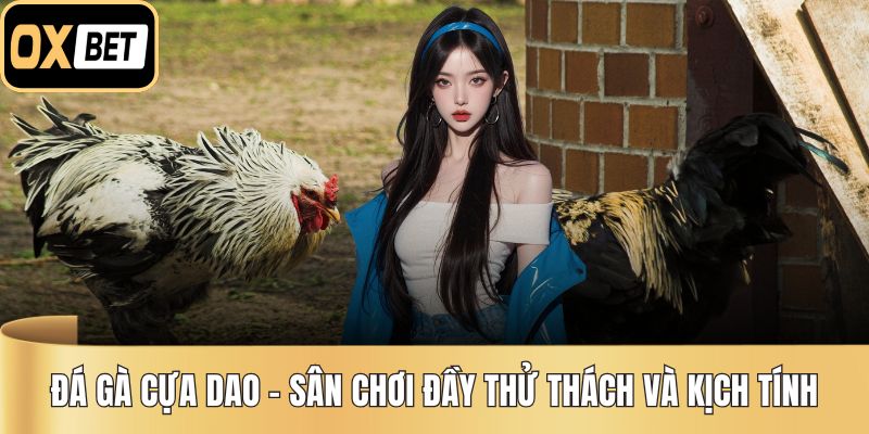 Đá Gà Cựa Dao – Sân Chơi Đầy Thử Thách Và Kịch Tính