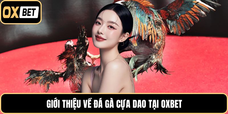 Giới thiệu về đá gà cựa dao tại OXBET