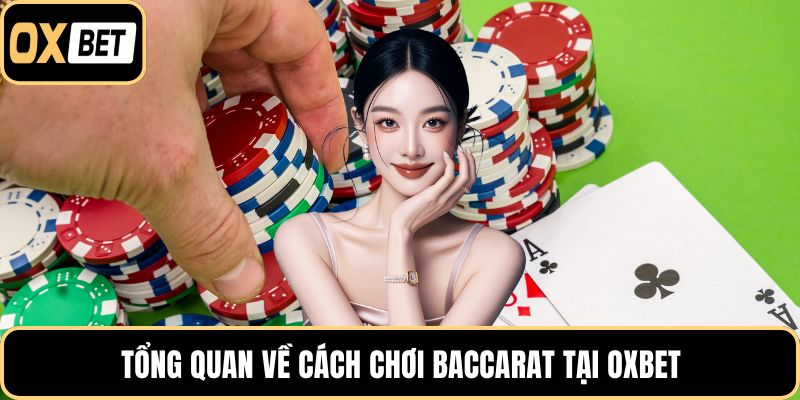 Tổng quan về cách chơi baccarat tại OXBET